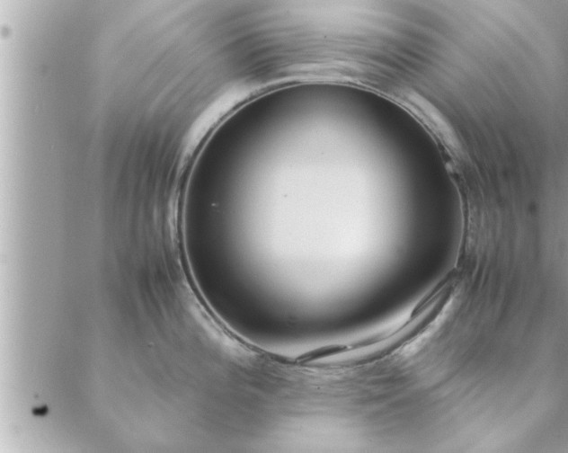 X0000088581196200706011105