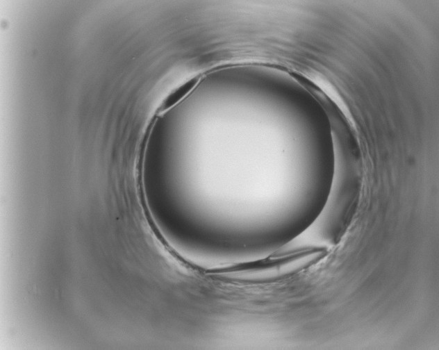 X0000088581197200706011105