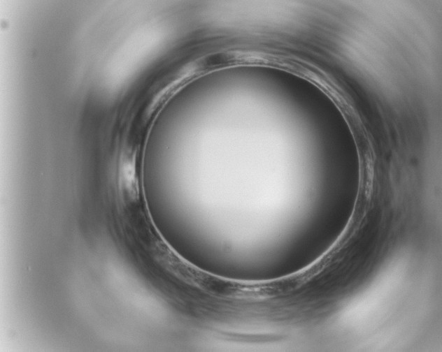 X0000088581198200706011105