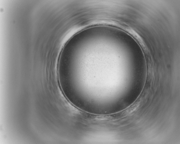 X0000088581199200706011105