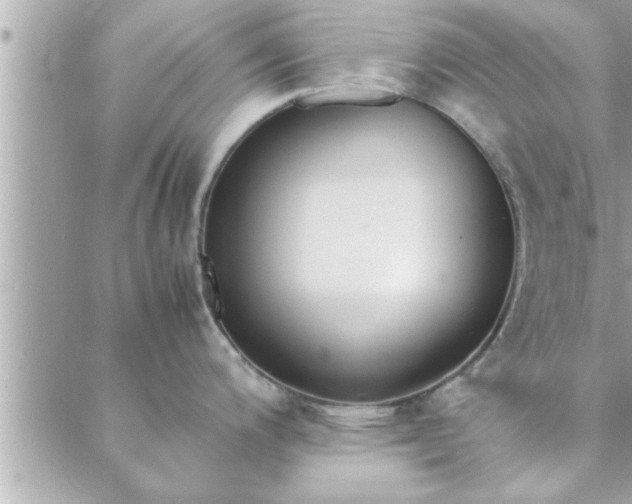 X0000088581200200706011105