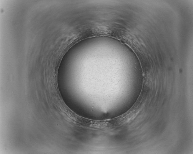 X0000088581201200706011104