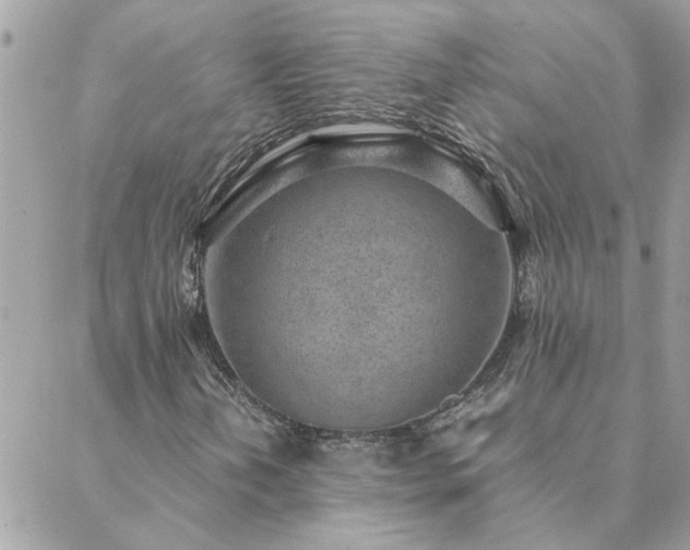 X0000088581202200706011104