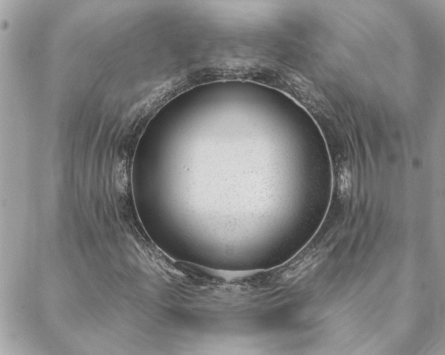 X0000088581204200706011104