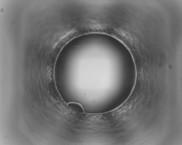 X0000088581205200706011104