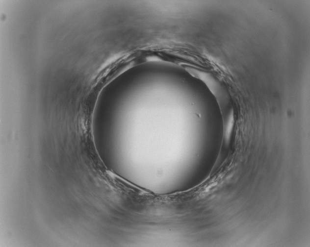 X0000088581206200706011104