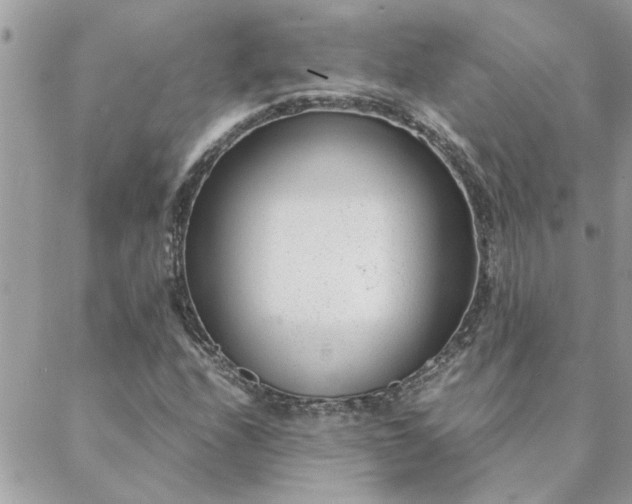 X0000088581208200706011104