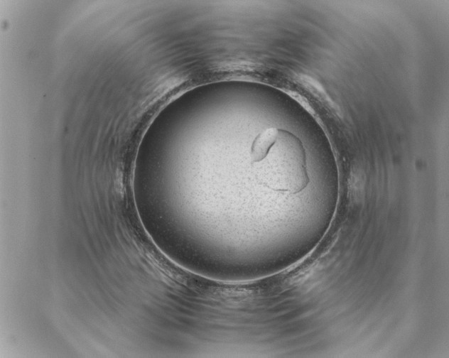 X0000088581209200706011104