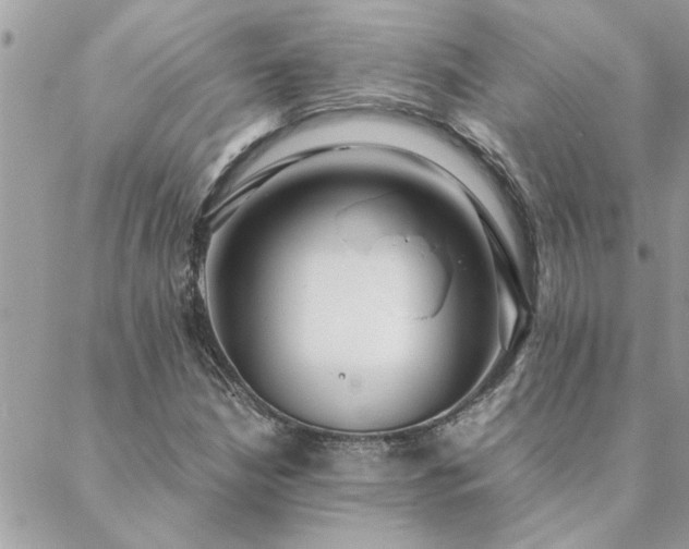 X0000088581210200706011104