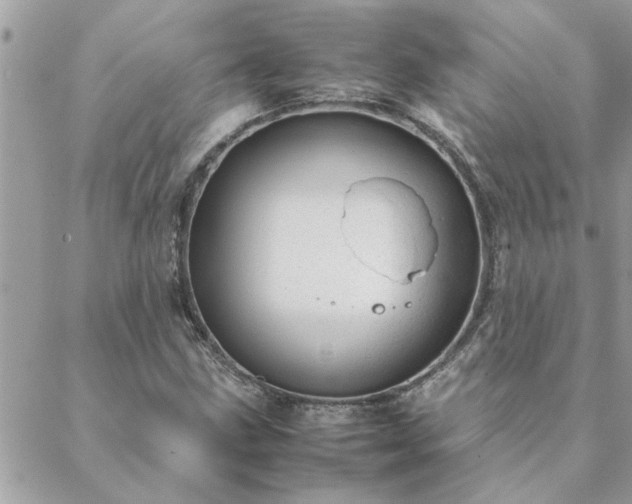 X0000088581211200706011104