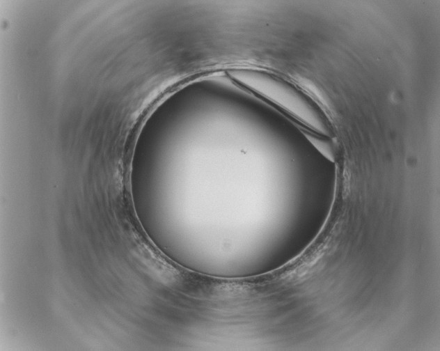 X0000088581212200706011104