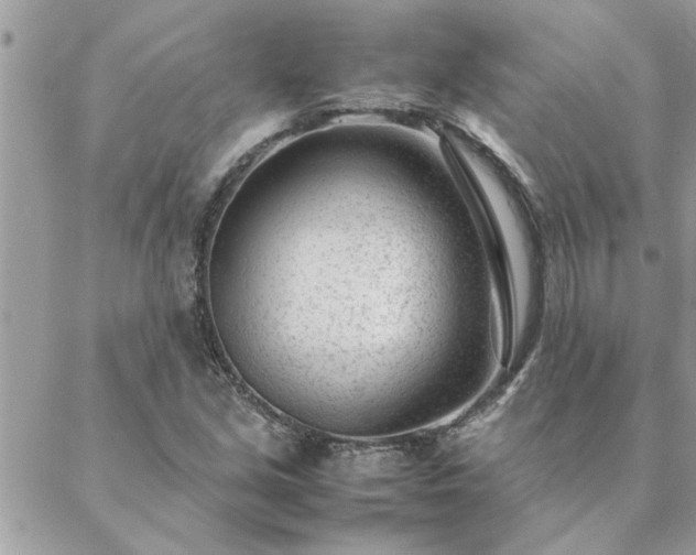 X0000088581213200706011104