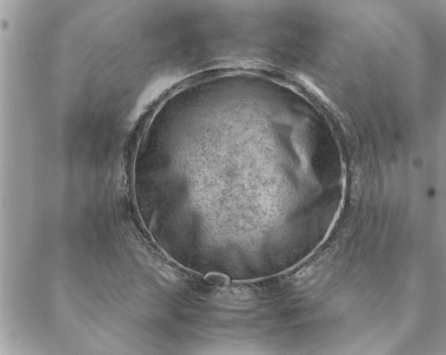 X0000088581215200706011104