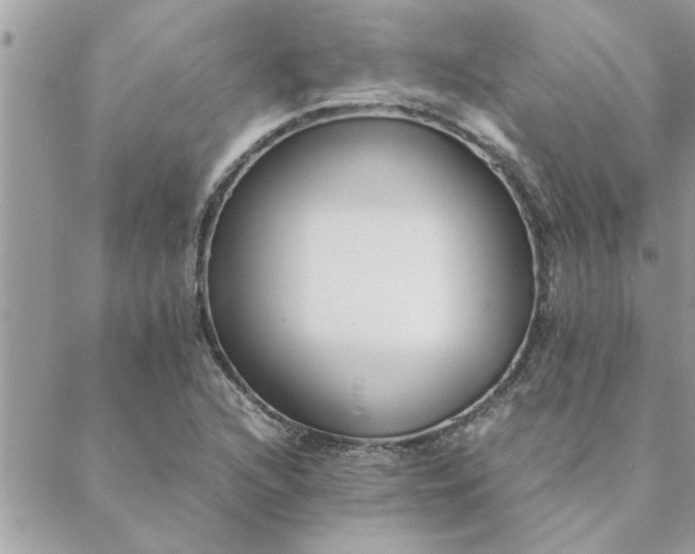 X0000088581216200706011104