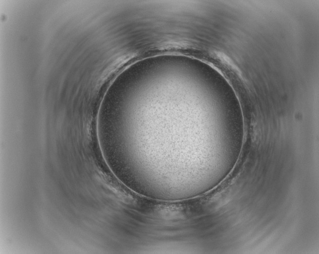 X0000088581217200706011104