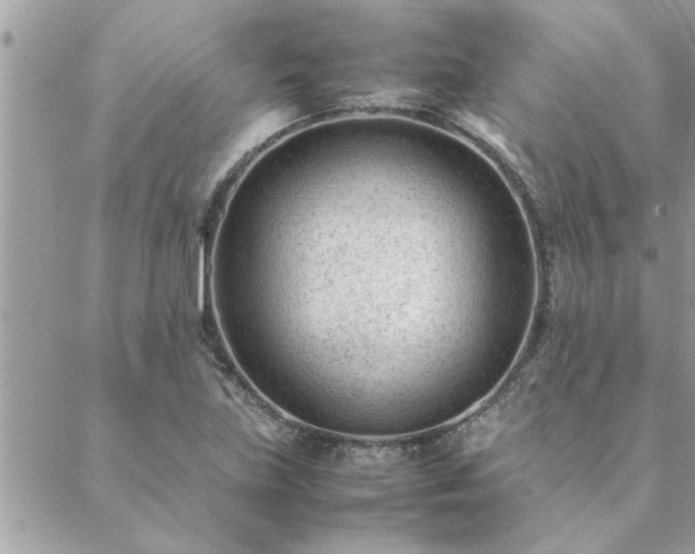 X0000088581219200706011104