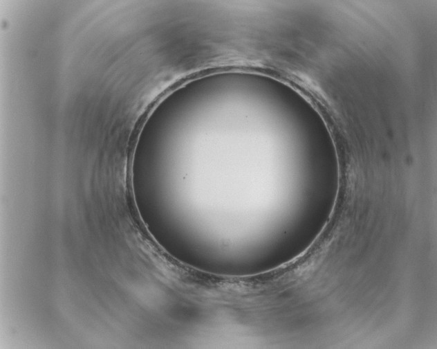 X0000088581220200706011104