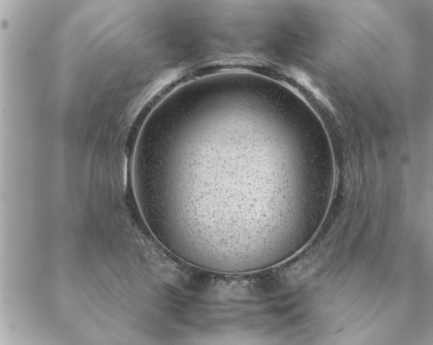 X0000088581221200706011104