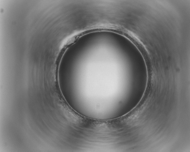 X0000088581222200706011104