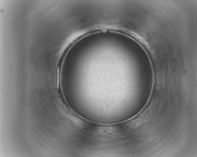 X0000088581223200706011104