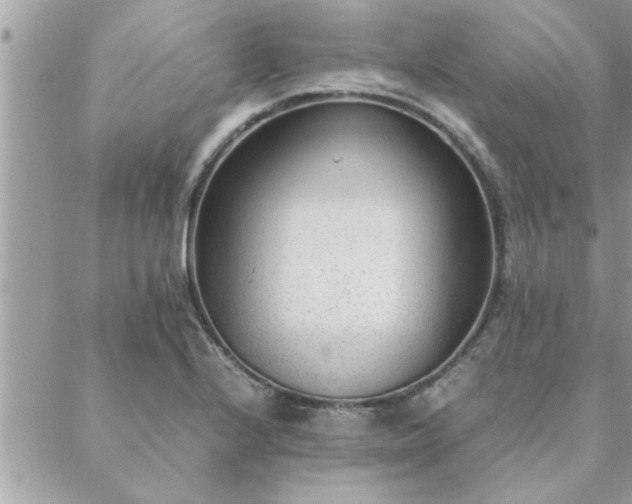 X0000088581224200706011104