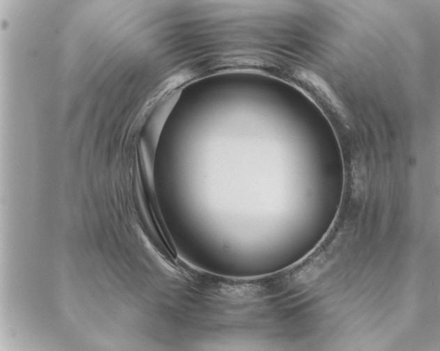 X0000088581225200706011104