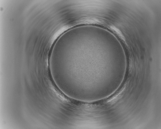 X0000088581226200706011104