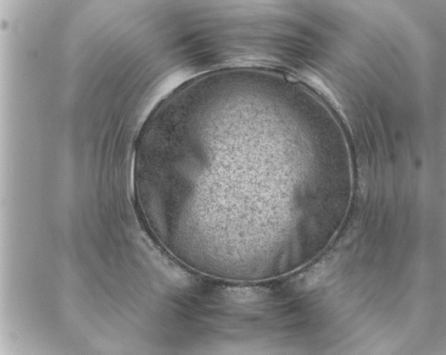 X0000088581227200706011104