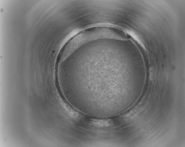 X0000088581229200706011104