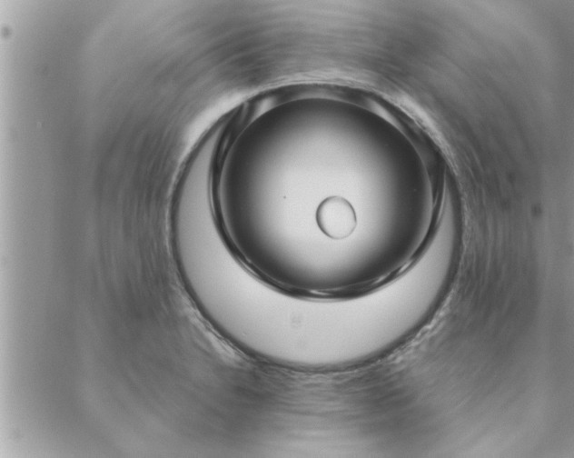 X0000088581230200706011104