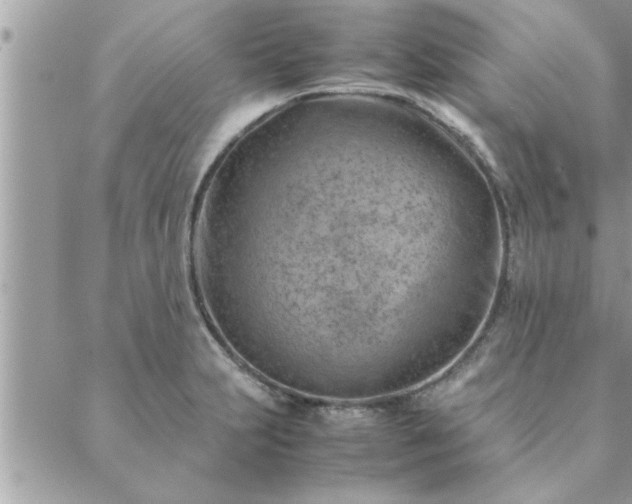 X0000088581231200706011104