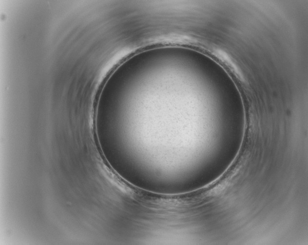 X0000088581232200706011104