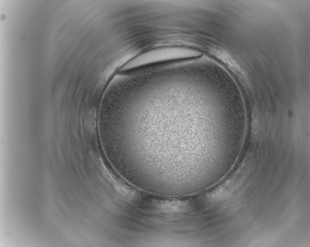 X0000088581233200706011104