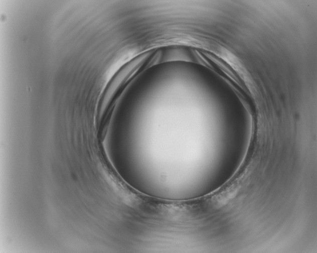 X0000088581234200706011104