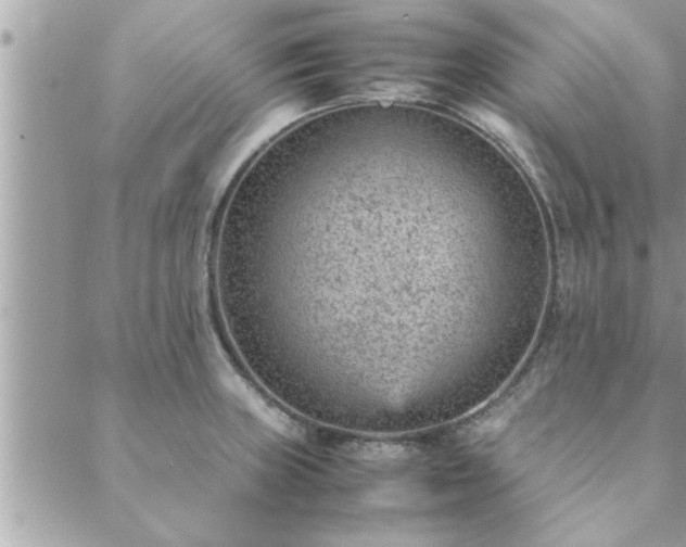 X0000088581235200706011104