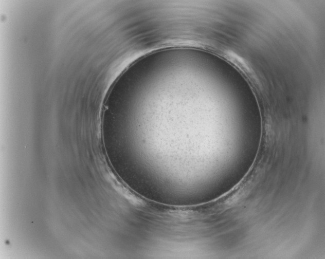 X0000088581236200706011105