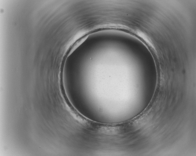 X0000088581237200706011105