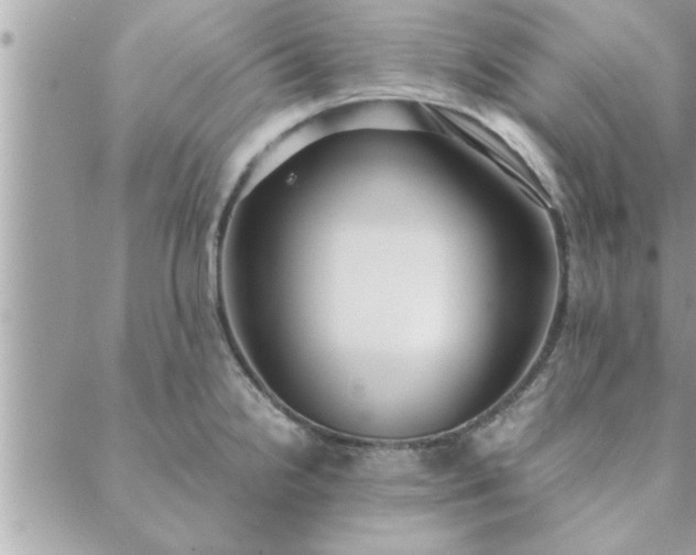 X0000088581238200706011105