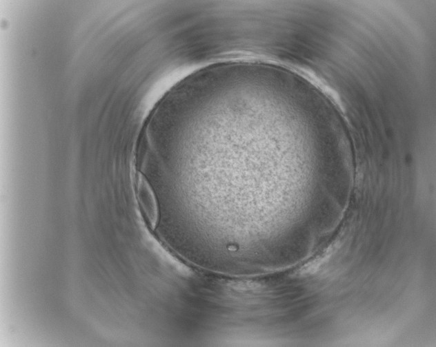 X0000088581239200706011105