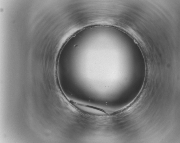 X0000088581240200706011105