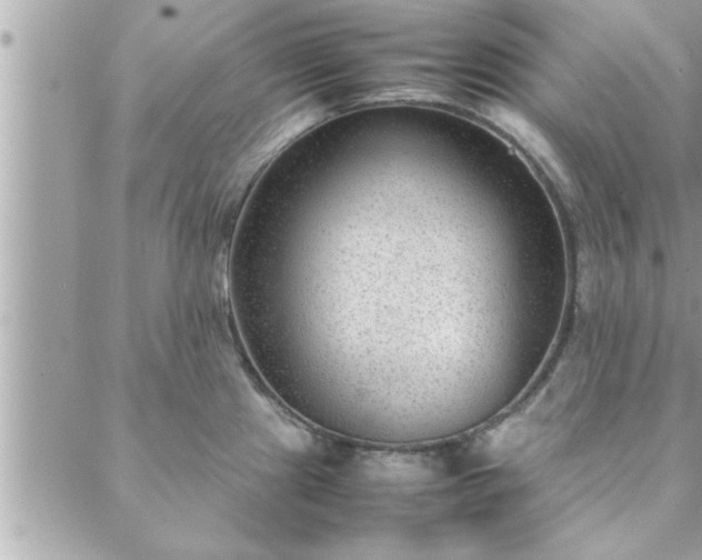 X0000088581241200706011105