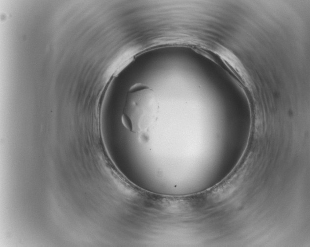 X0000088581242200706011105