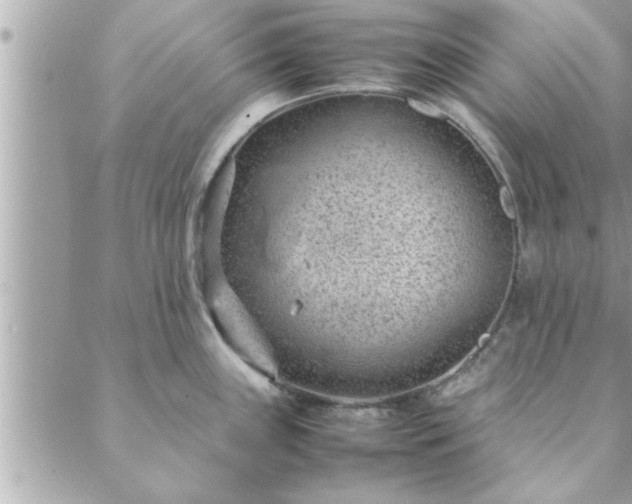 X0000088581243200706011105