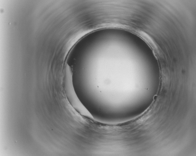 X0000088581244200706011105