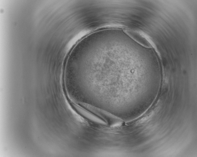 X0000088581245200706011105