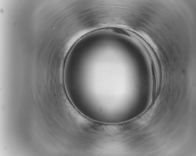 X0000088581246200706011105