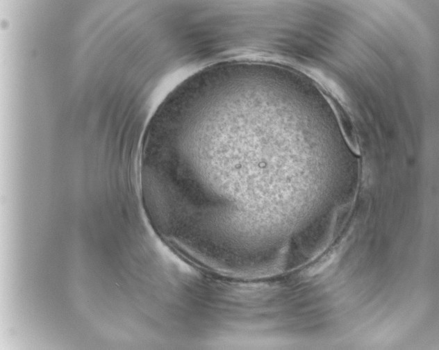 X0000088581247200706011105