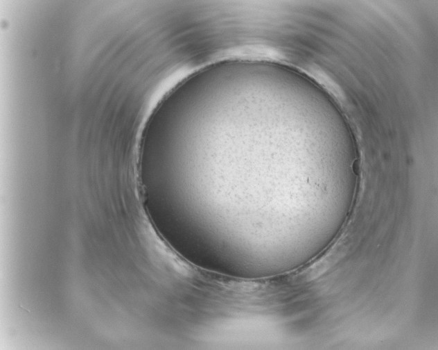 X0000088581248200706011105