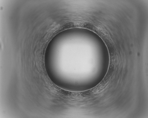 X0000088581249200706011104