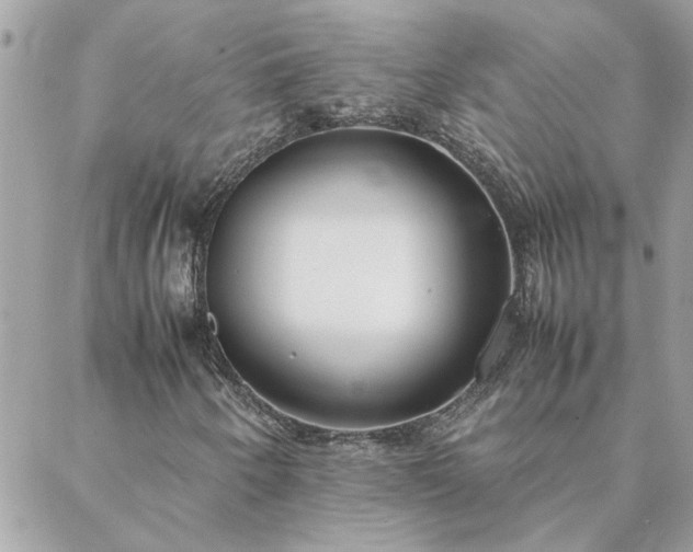 X0000088581250200706011104